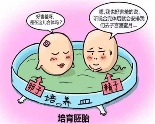 北京供卵去哪里做检查（供卵怀孕要做很多检查吗）