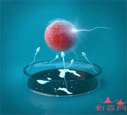 北京供卵代孕包男孩，同款药品在不同城市售价不同 医生不愿治病想推销药