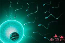 北京谁有供卵试管流程，2021最新北京十强试管婴儿医院排行榜-附费用成功率