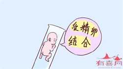 北京何时有合法代怀，国内试管婴儿三代费用
