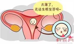 北京正规代生公司，孕妇初期能吃桃子么
