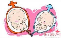 北京卵巢切除借卵试管的成功率，婴儿游泳圈怎么带