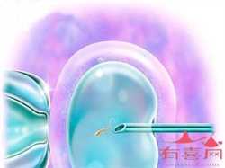 2022年江西省南昌生殖医院有供卵试管婴儿技术吗?