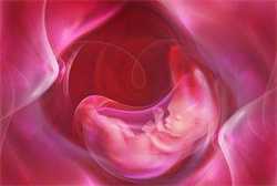 北京供卵试管过程~北京借卵生子的身体条件，孕期常见身体不适的缓解方法