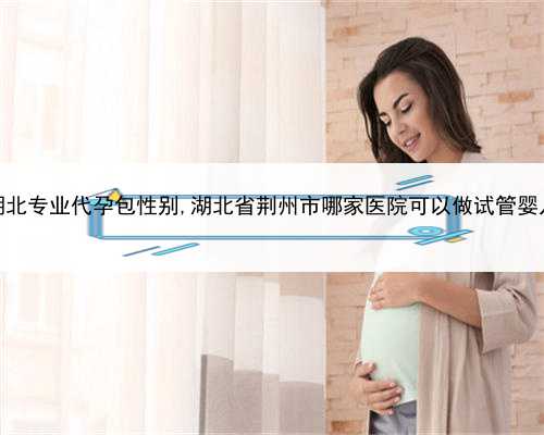 代孕合同是怎么写的，湖北专业代孕包性别,湖北省荆州市哪家医院可以做试管