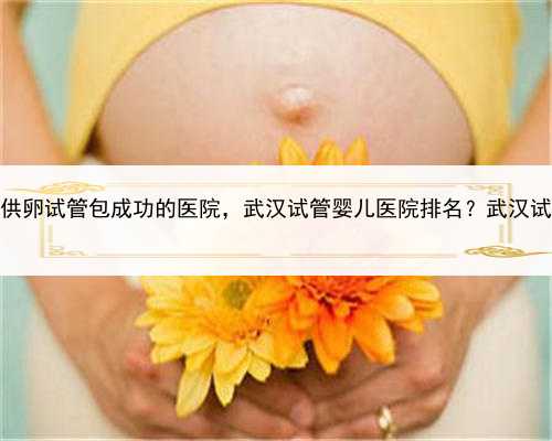 代孕一般费用多少，武汉供卵试管包成功的医院，武汉试管婴儿医院排名？武汉