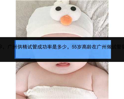 失独家庭找人代孕，广州供精试管成功率是多少，55岁高龄在广州做试管婴儿成