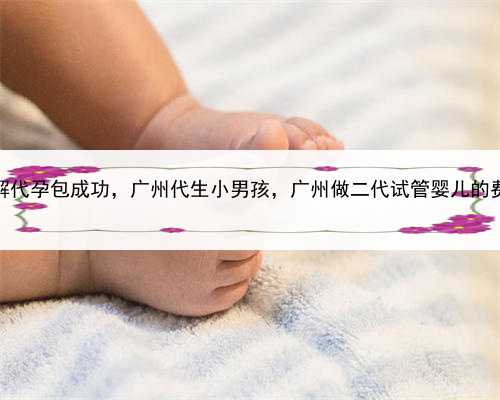 了解代孕包成功，广州代生小男孩，广州做二代试管婴儿的费用